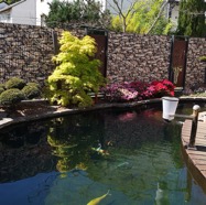 IMG_20200426_101759.jpg