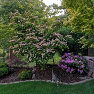 IMG_20200524_192059.jpg